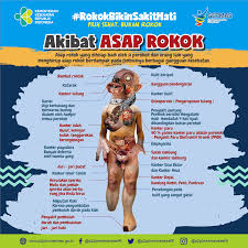 Bahaya Merokok Bagi Tubuh